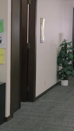 Hey Jefe, Su Empresa Está Siendo Bombardeada episode 29