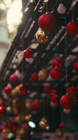 Nunca Rechaces a una Princesa Lobo episode 39