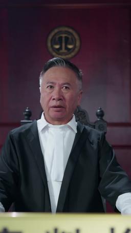 Rogue Lawyer episode 8