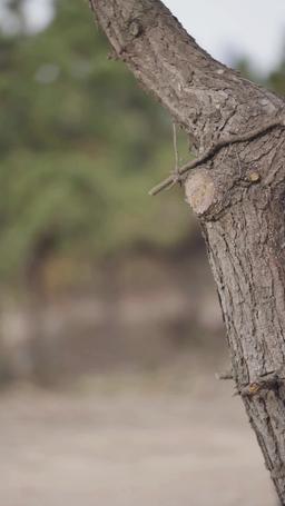 I Think My Wife Wants To Kill Me episode 45