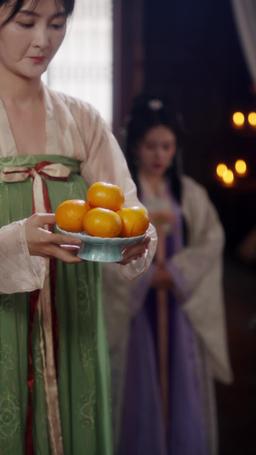 重生嫡女只想虐渣 episode 44