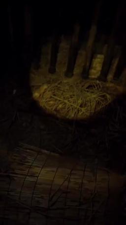 廃寺からの生還 episode 73