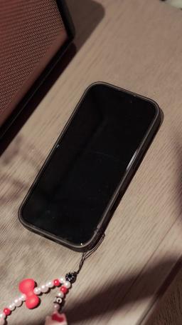 Bound to My Heiress episode 6