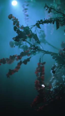 落花有淚猶帶恨 episode 7