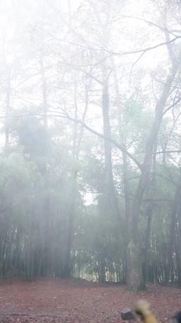 Supreme Dragon: The Divine Hall episode 36