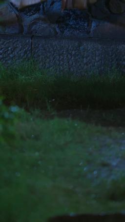 (พากย์) ข้าเป็นยอดดวงใจท่านอ๋อง แล้วองค์รัชทายาทจะเสียใจทำไม episode 8