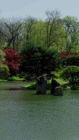 Дорогой, пожалуйста, приди домой episode 82