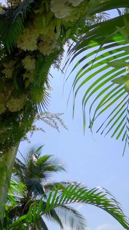 A Fated Encounter episode 1