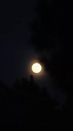 Vostra Altezza, il suo medico di famiglia è in realtà una ragazza! episode 44