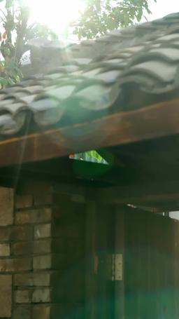 転生してエリートと再婚したら、裏切り夫が絶句しました episode 1