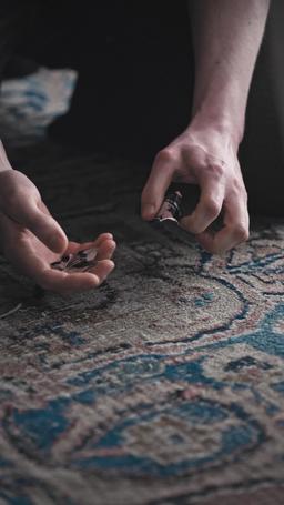 Die Gangsterkönigin und der Prinz episode 34