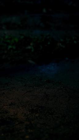 Reborn in Flames episode 33