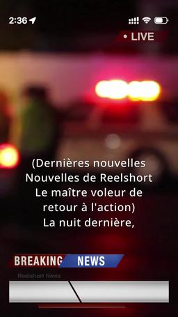 Mme Détective et M. Voleur episode 1