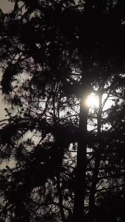 状元の悔い episode 18