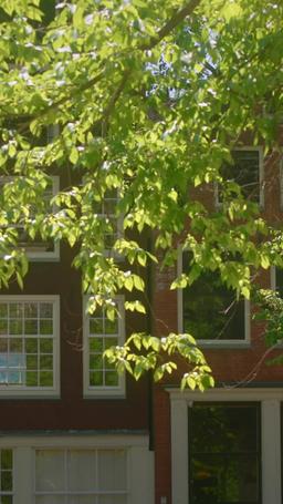 Ho cinque fratelli fighissimi episode 15