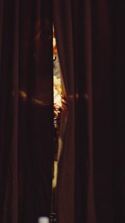 恋のスピード違反 episode 23