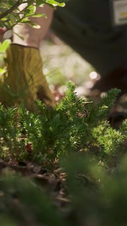 다섯 개의 열쇠를 가진 비밀 보스 episode 3