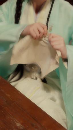 重生嫡女只想虐渣 episode 23