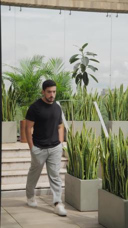 Sí a primera vista episode 84