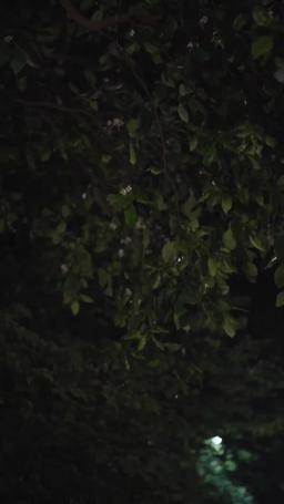 母愛無聲 episode 63