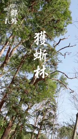 朕，如此多嬌 episode 6