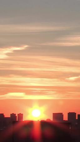 The Dragon Dame episode 93