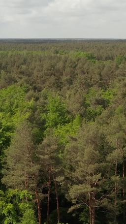 The Price of Loving You episode 15