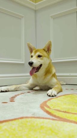 OMG! I'm the Divine?! episode 59