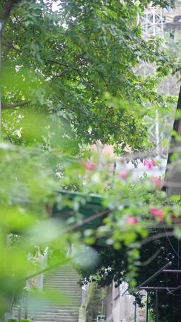 ¡Mi papá CEO nos encontró! episode 2