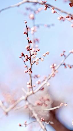 Zengin Kız Değilim Artık! episode 13