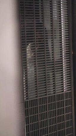 転生妻の決意：富豪夫への逆襲 episode 64