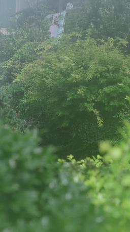 Blood Betrayed, Forever in Debt episode 7