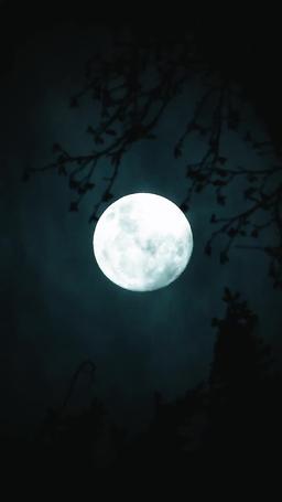 알파를 내 거로 만든 방법 episode 61