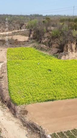 [مدبلج] أمي بطلة فنون القتال episode 1