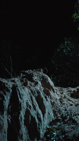 許一人以偏愛 episode 38