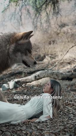 ชะตาผูกพันกับหมาป่าผู้เป็นศัตรู trailer