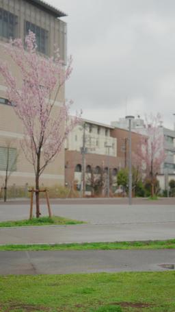 君を王子にするまであと30日 episode 29