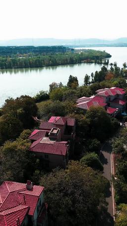 司令官の娘は天才占い師 episode 8