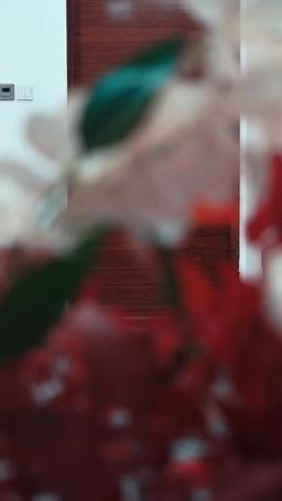 Votos rotos, amor que sana episode 48