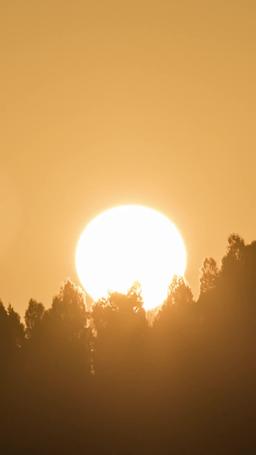 Love After Rebirth: Spoiled by My Husband's Uncle (English-dubbed) episode 23