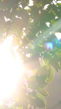 [dublado] Minha ex-mulher floresce após divórcio episode 4