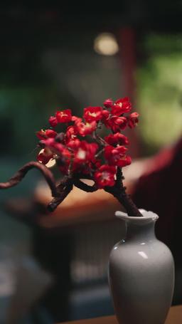 Pan Zhang Teraz Jest w 2024 Roku episode 1