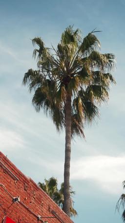 Cómo conquistar a una estrella de cine episode 60