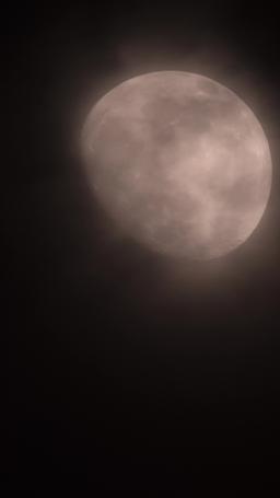 Le Roi Alpha et Sa Vierge Épouse episode 16