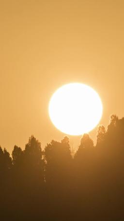 Non infastidite la madre di mio figlio episode 48