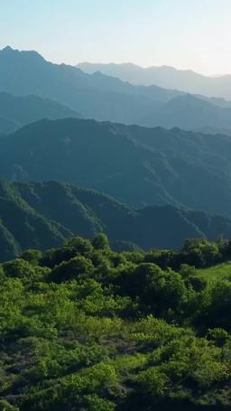 Supreme Dragon: The Divine Hall episode 6