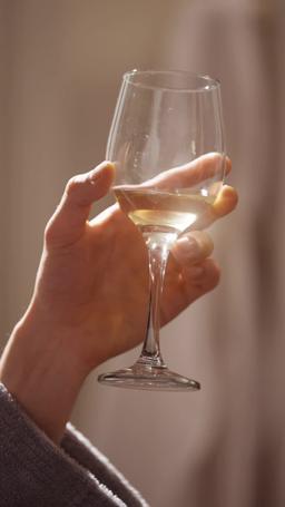 L'affascinante modello è un AD miliardario episode 49