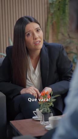A vida secreta do meu marido bilionário episode 15