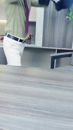 Dragón Silente: El Polvo del Dragón Celeste episode 48