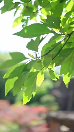 L'allarme nausea mattutina di lui e il segnale d'amore di lei episode 2